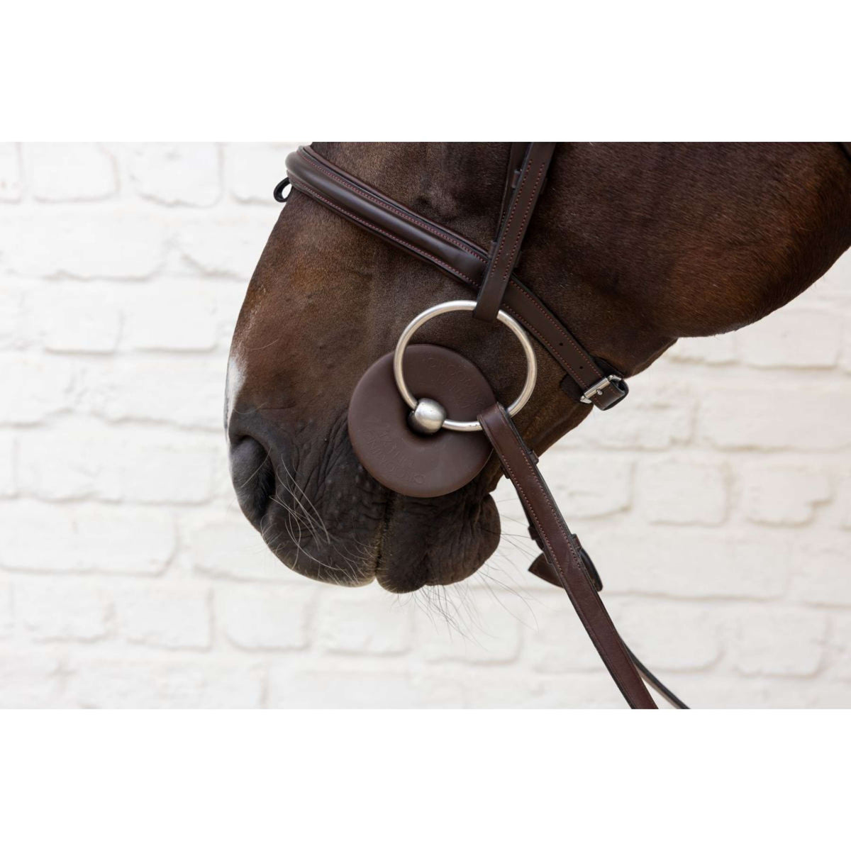 Kentucky Gebissringe Bit Ring Braun