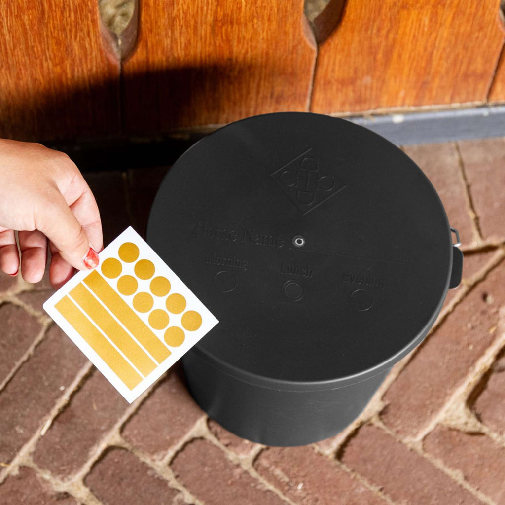 Kentucky Eimer mit Deckel Schwarz