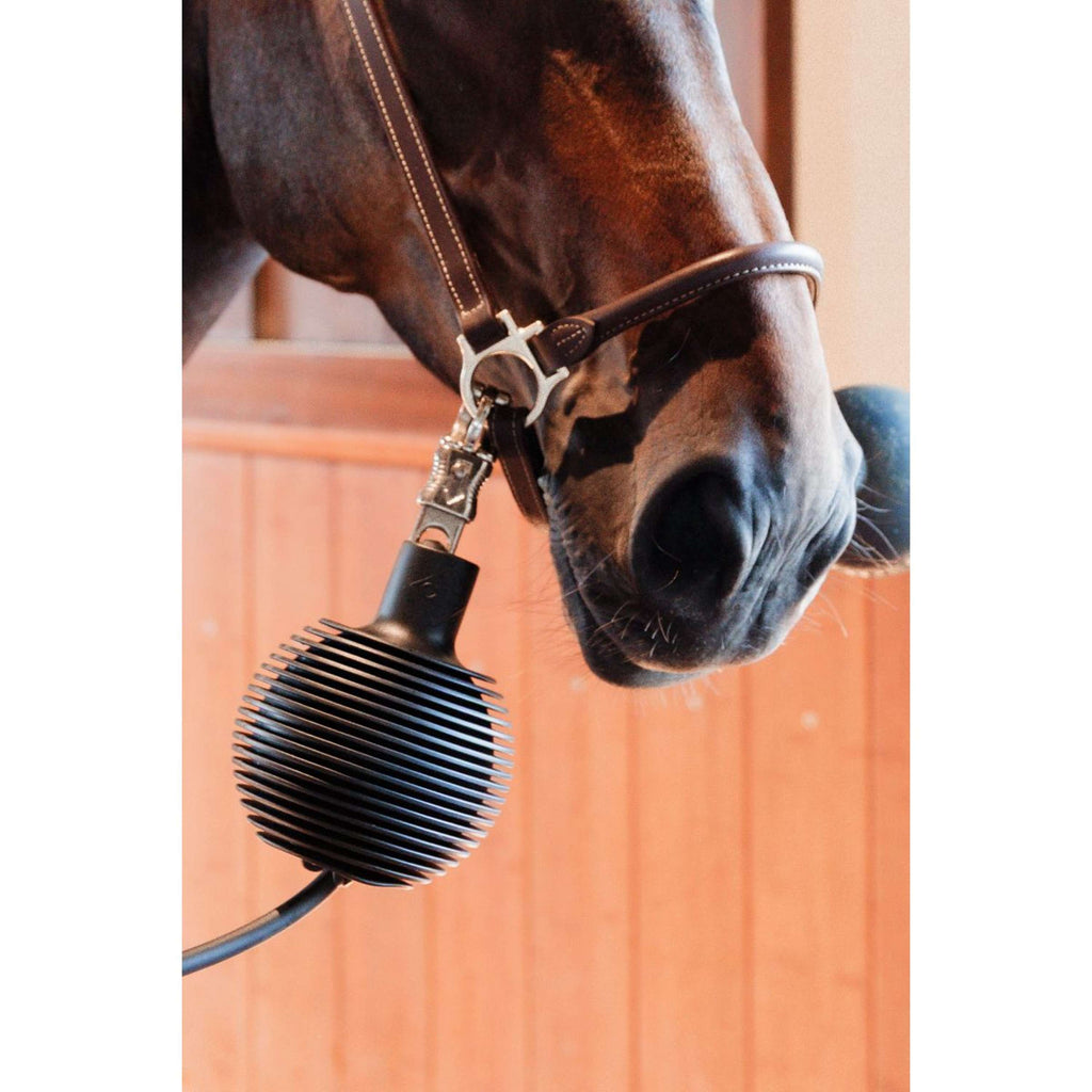 Kentucky Schutzbal Pro Rubber Schwarz