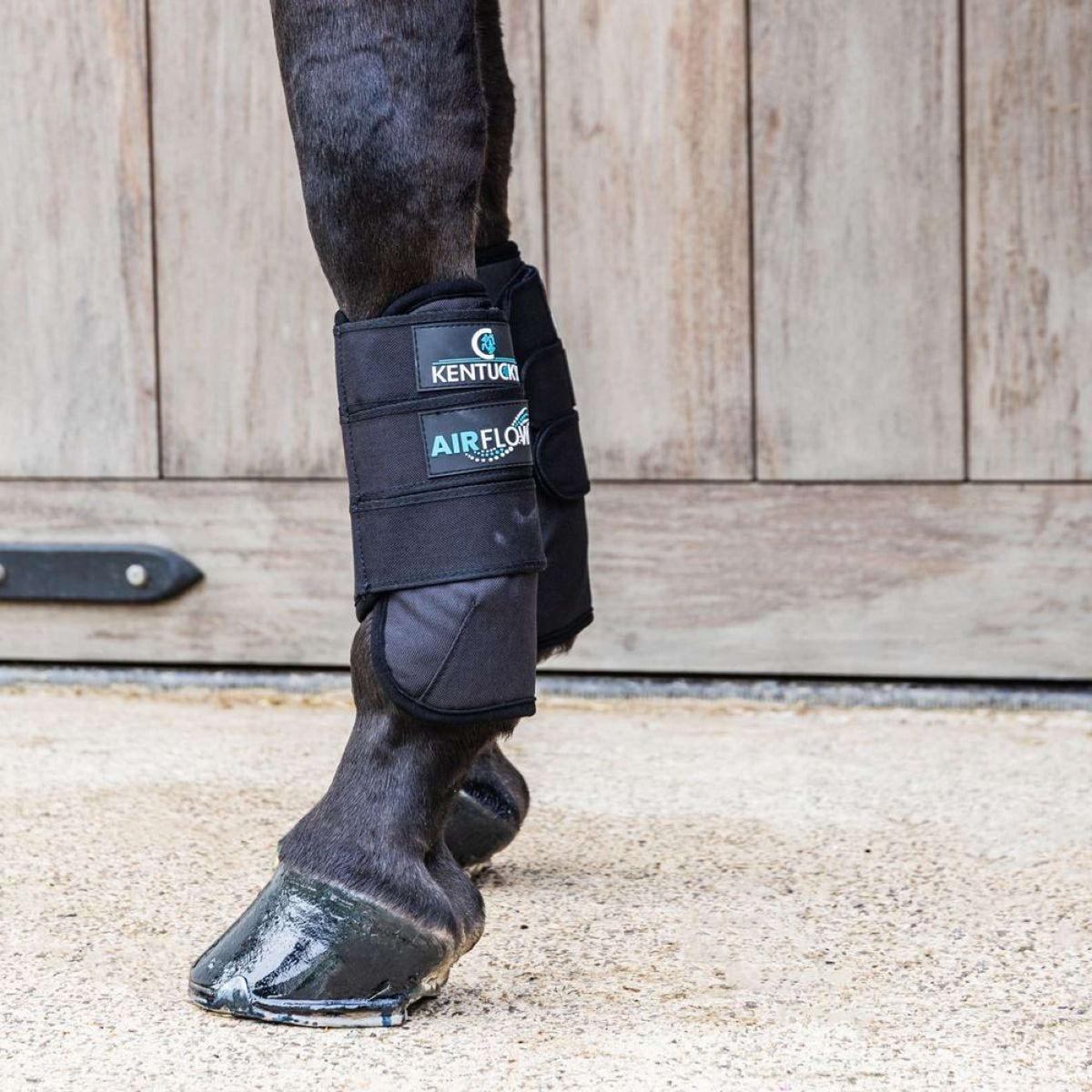 Kentucky Horsewear Eventing Boots 3D Air Flow Skin Friendly Front Schwarz