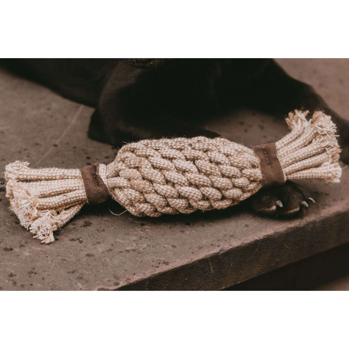 Kentucky Hundespielzeug Cotton Rope Pineapple