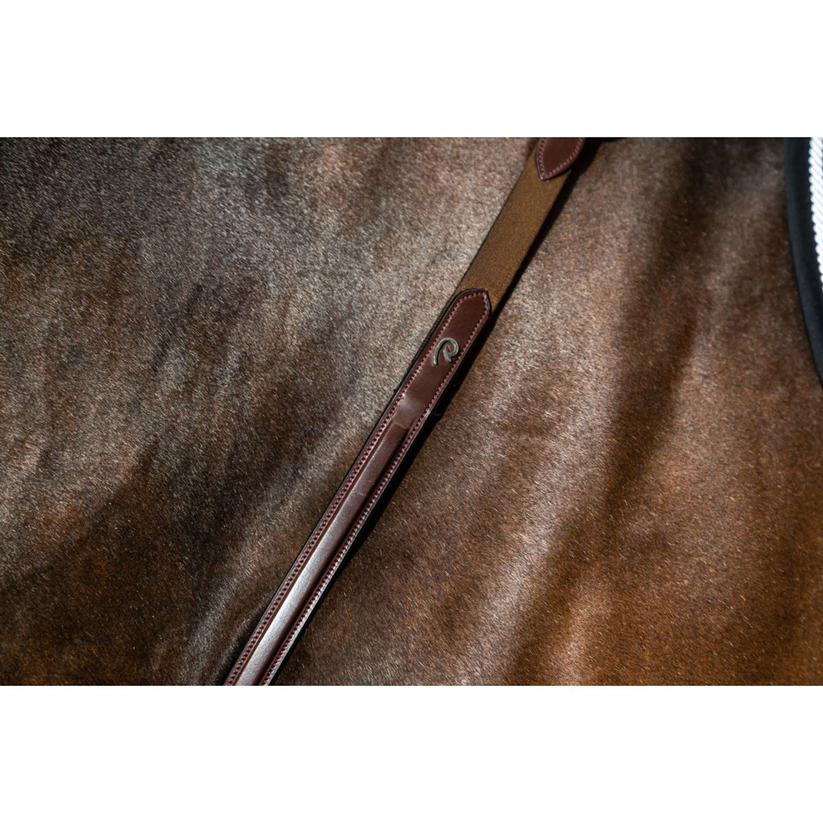 Dyon Brustgeschirr Bridge New English Collection Braun