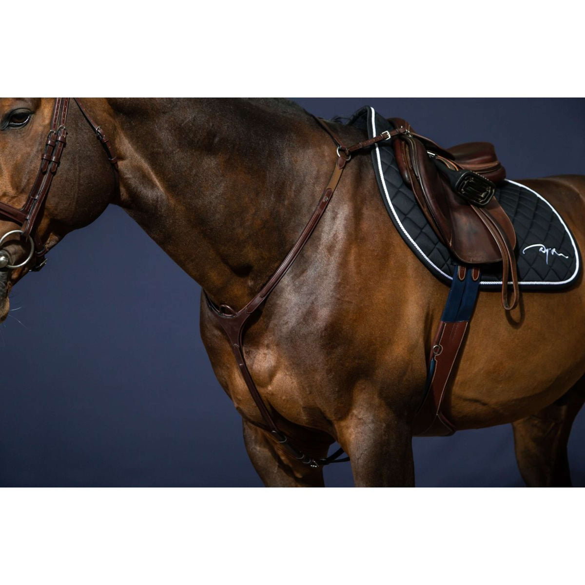 Dyon Brustgeschirr Bridge New English Collection Braun