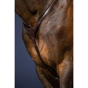 Dyon Brustgeschirr Bridge New English Collection Braun