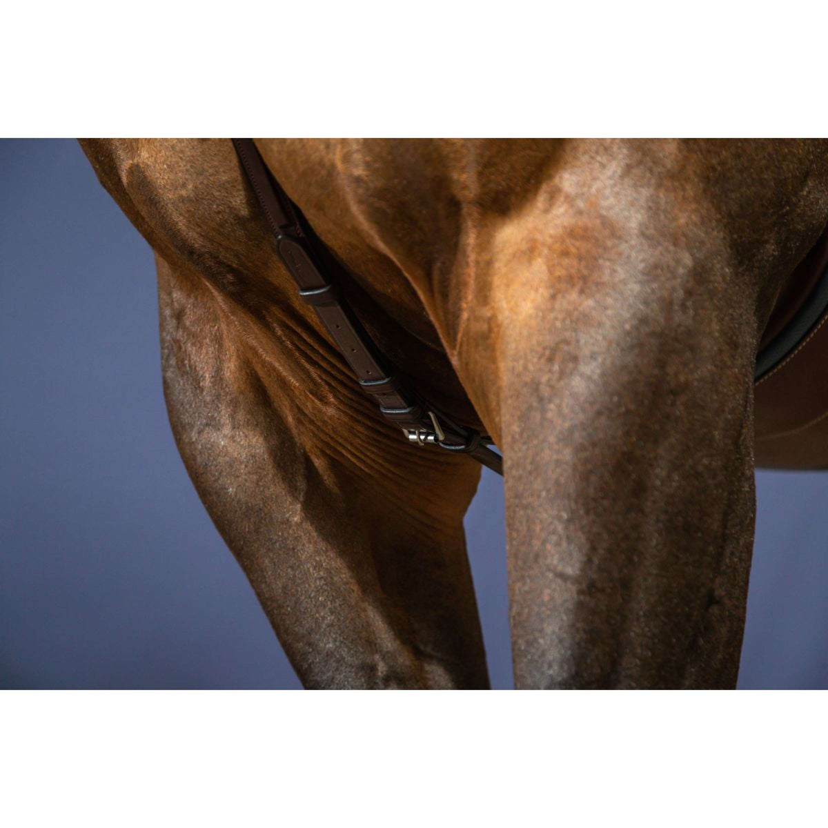 Dyon Brustgeschirr Bridge New English Collection Braun