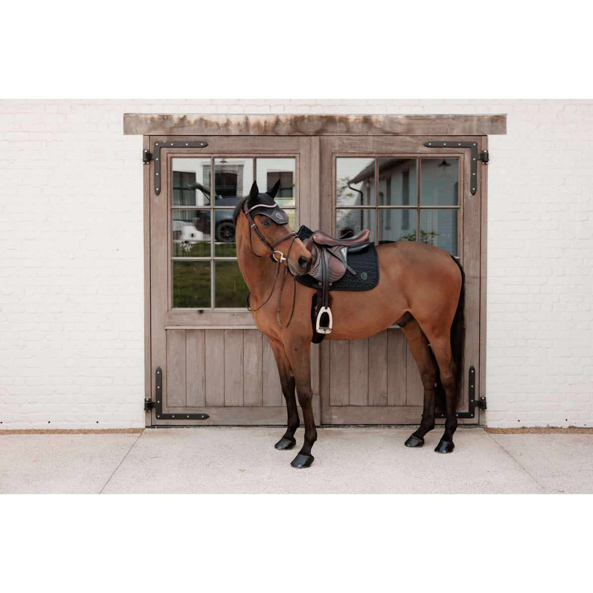 Kentucky Schabracke Sparkling Springen Schwarz