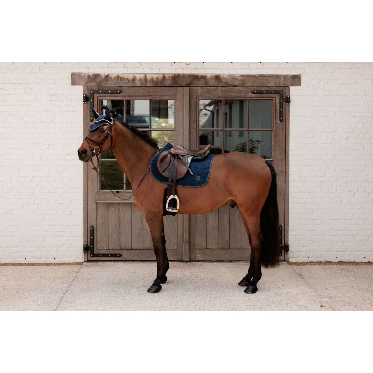 Kentucky Fliegenhaube Wellington Sparkling Logo Navy