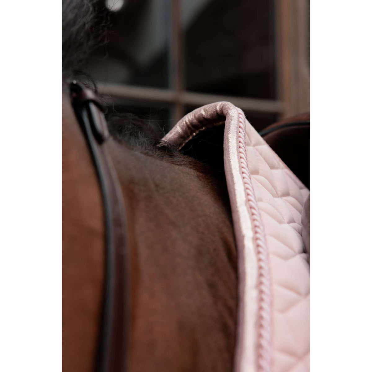 Kentucky Schabracke Sparkling Springen Old Rose