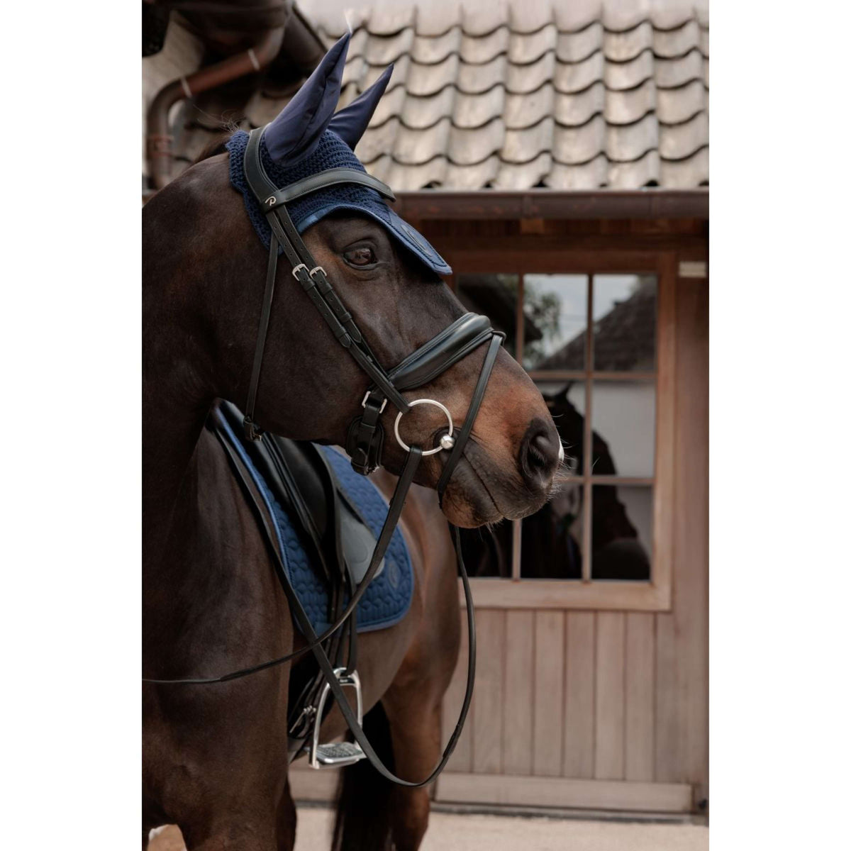 Kentucky Fliegenhaube Wellington Sparkling Logo Navy