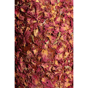 Grooming Deluxe by Kentucky Relax Horse Toy Wooden Freedom