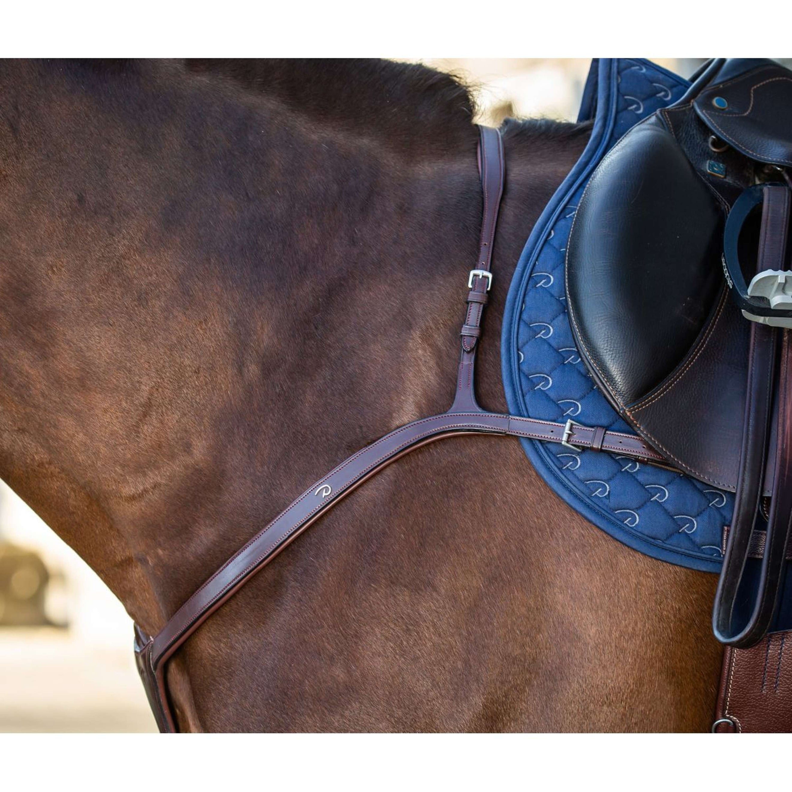 Dyon Brustgeschirr Long Bridge New English Collection Braun Dyon Brustgeschirr Long Bridge New English Collection Braun