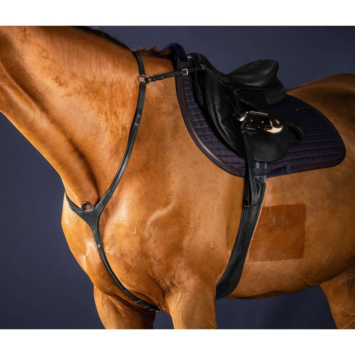 Dyon Brustgeschirr Bridge New English Collection Schwarz