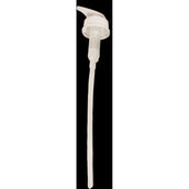 Kentucky Pumpe Shampoo Almond