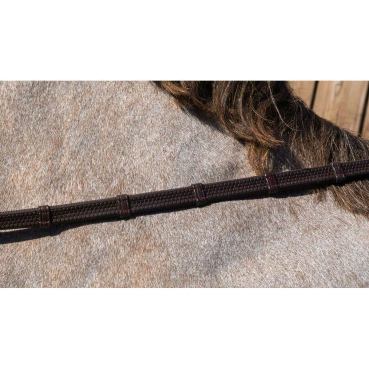 Dyon Zügel 7 Loops Working By Dyon 1/2 Gummi Schwarz