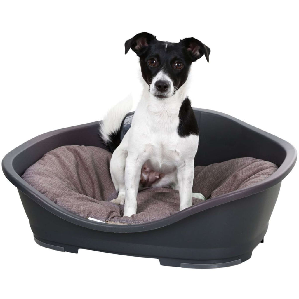 Kerbl Hundekissen Loneta Braun/Grau