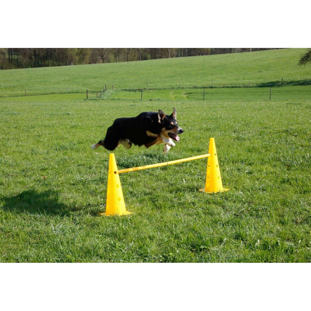 Kerbl Agility Pylon Set 3 Hindernisse Rot/Gelb