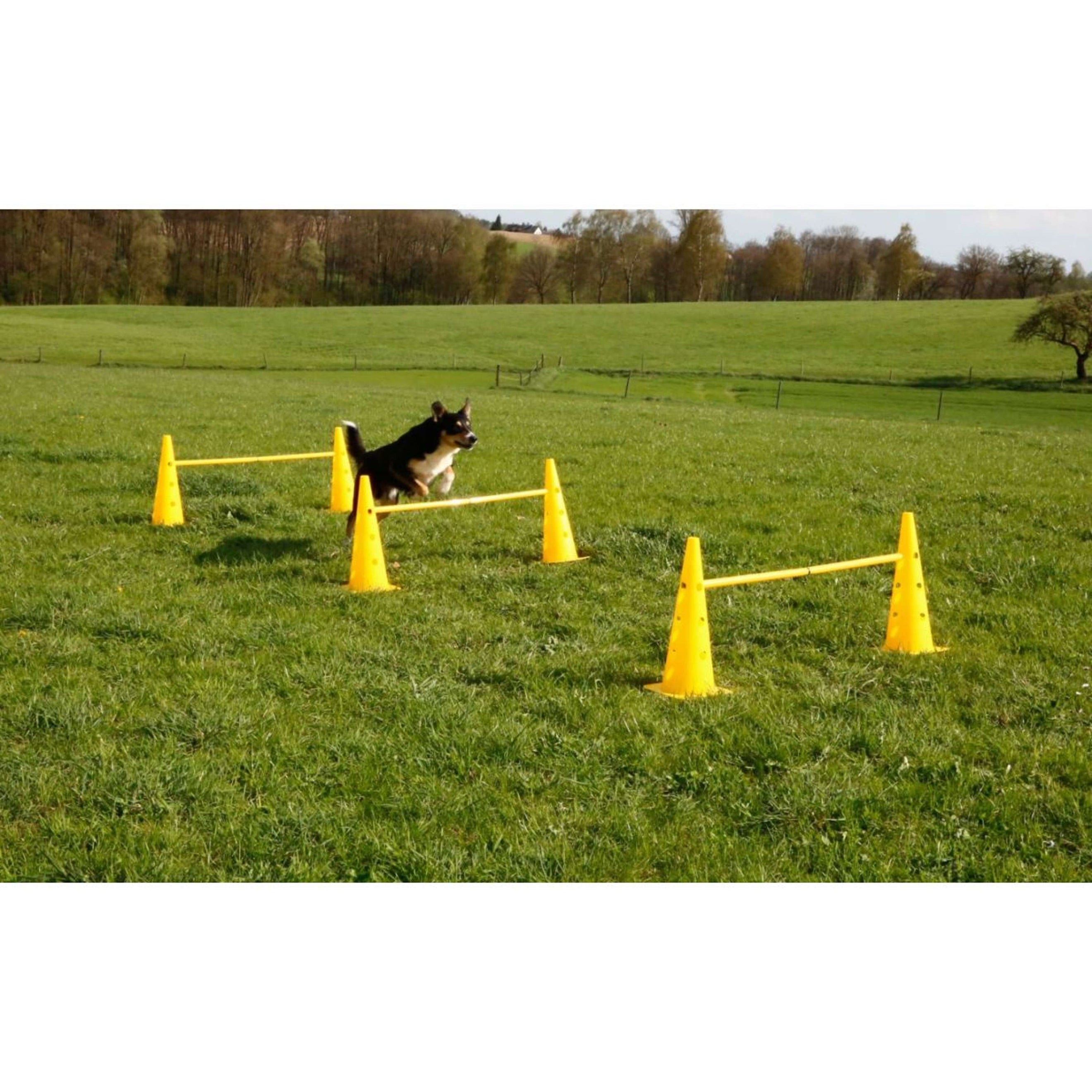 Kerbl Agility Pylon Set 3 Hindernisse Rot/Gelb