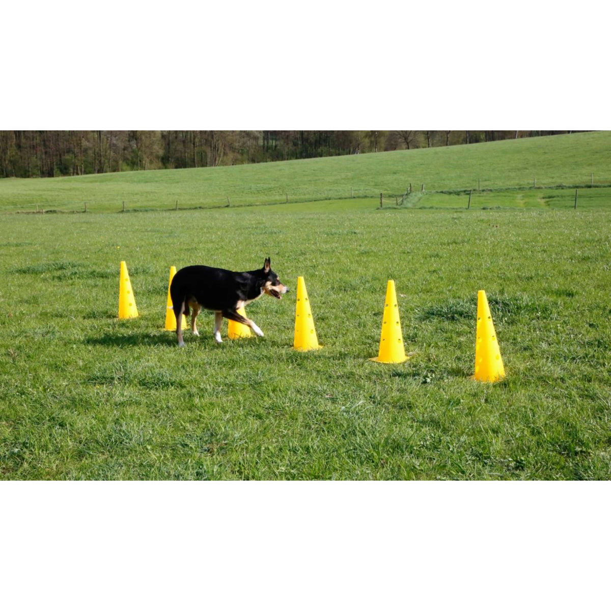 Kerbl Agility Pylon Set 3 Hindernisse Rot/Gelb
