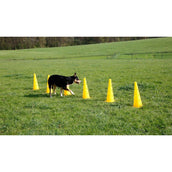 Kerbl Agility Pylon Set 3 Hindernisse Rot/Gelb