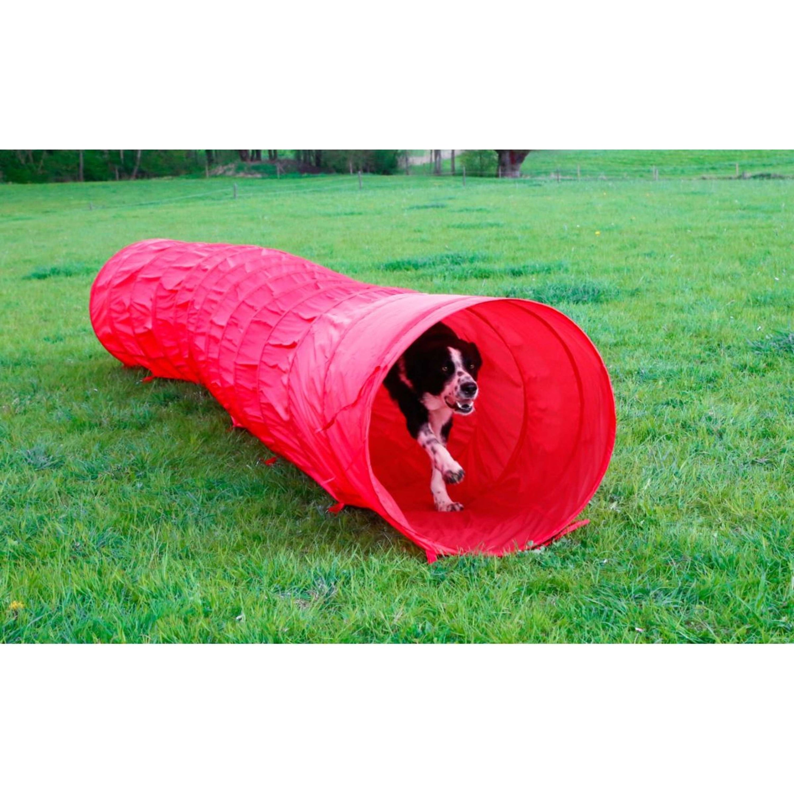 Kerbl Agility Hundetunnel Rot