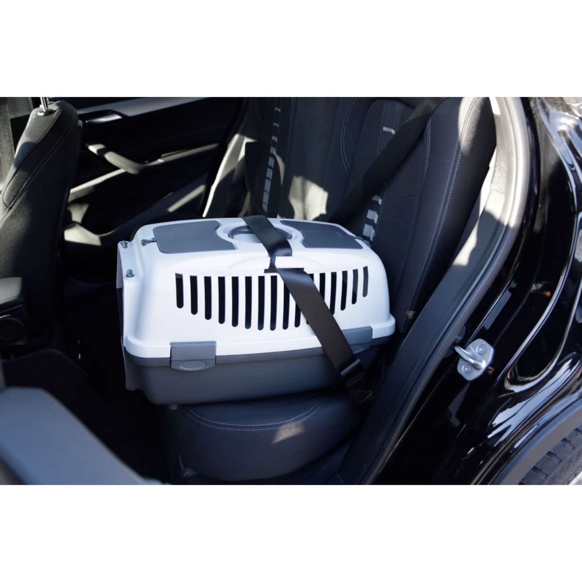 Kerbl GULLIVER 1 Transportbox Grau/Weiß