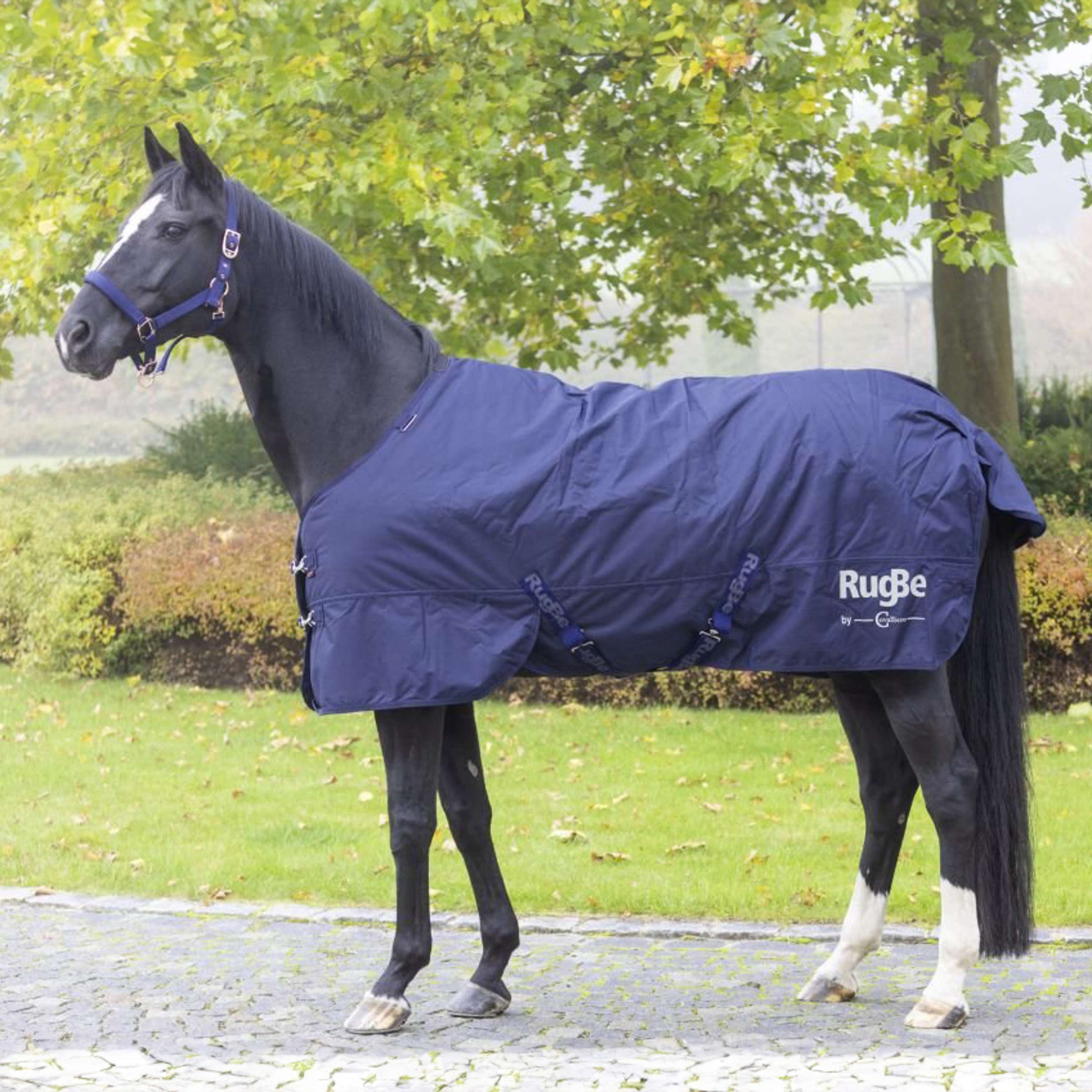 RugBe by Covalliero Winterdecke IceProtect 300g Dark Navy RugBe by Covalliero Winterdecke IceProtect 300g Dark Navy