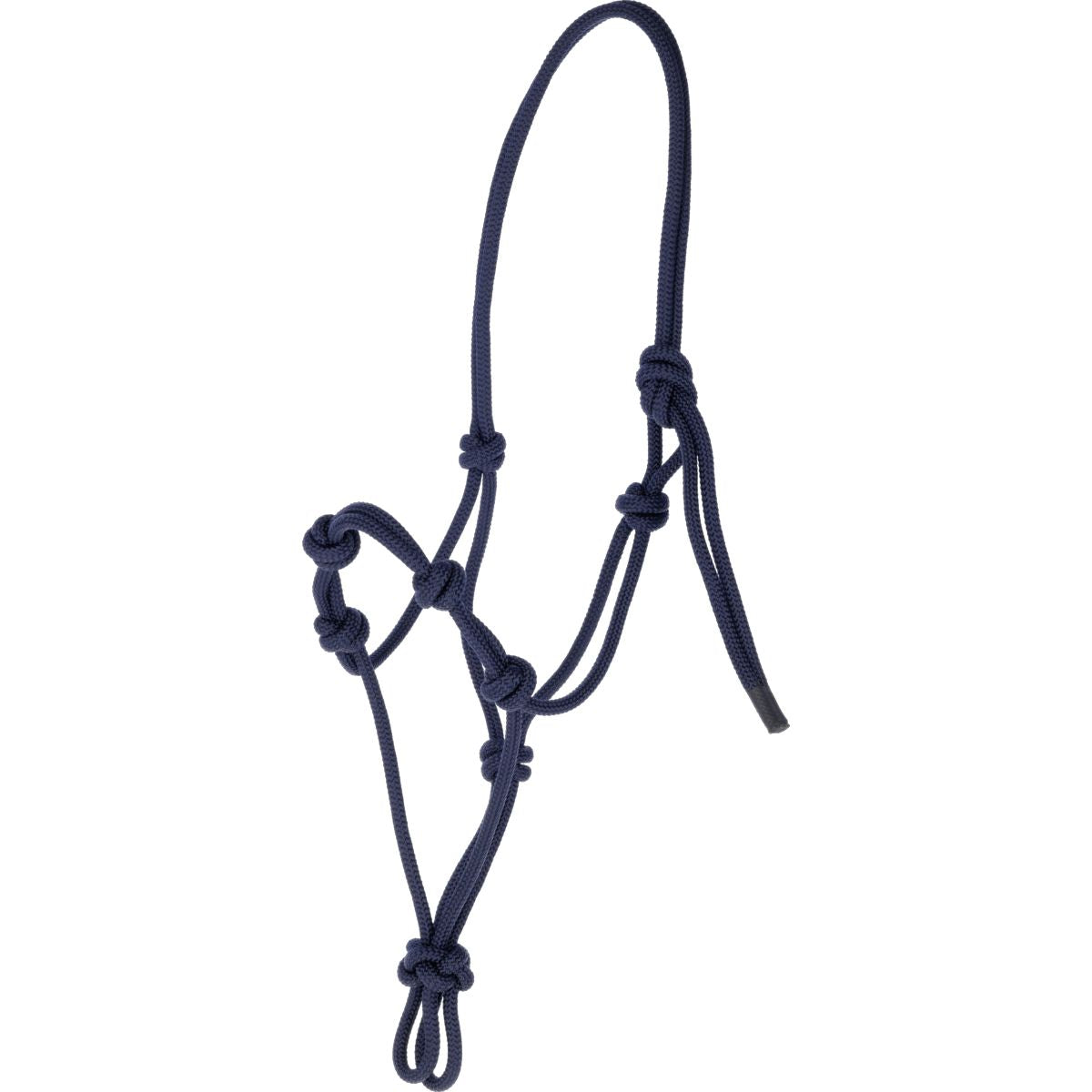 Covalliero Knotenhalfter Blau