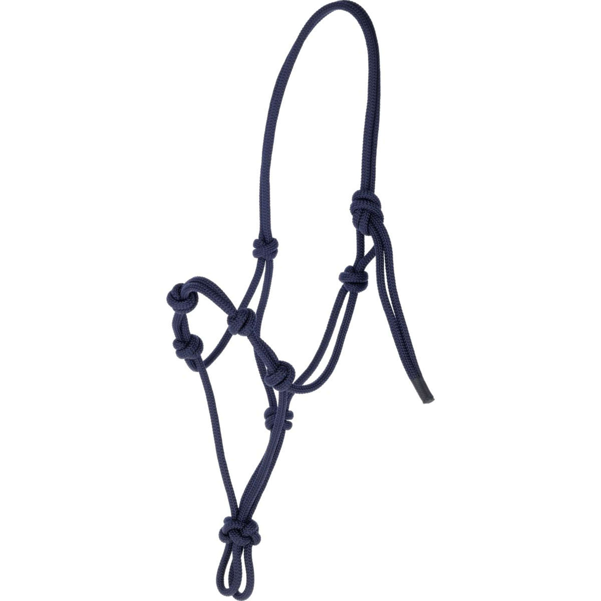 Covalliero Knotenhalfter Blau