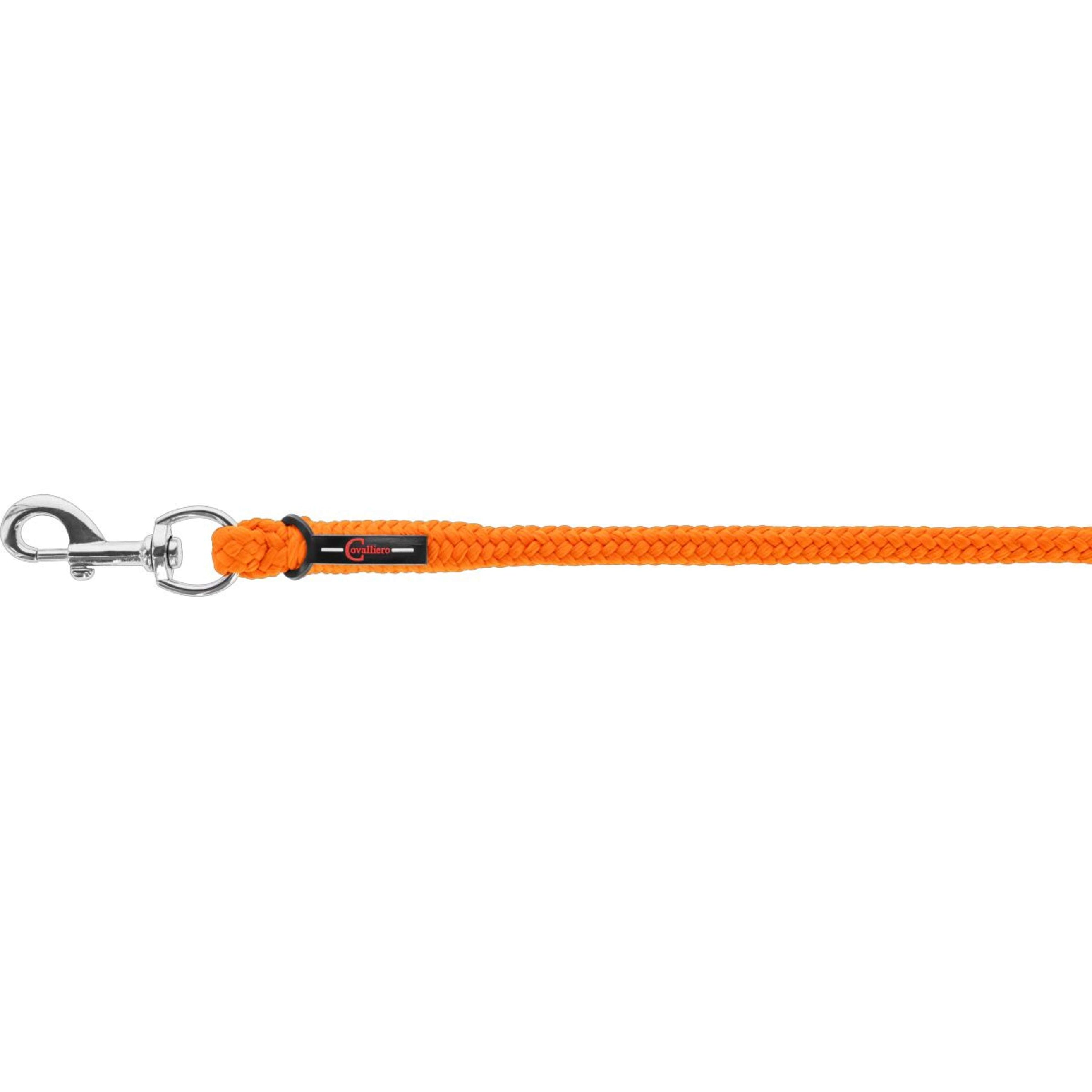 Covalliero Führstrick Hippo Karabiner Orange