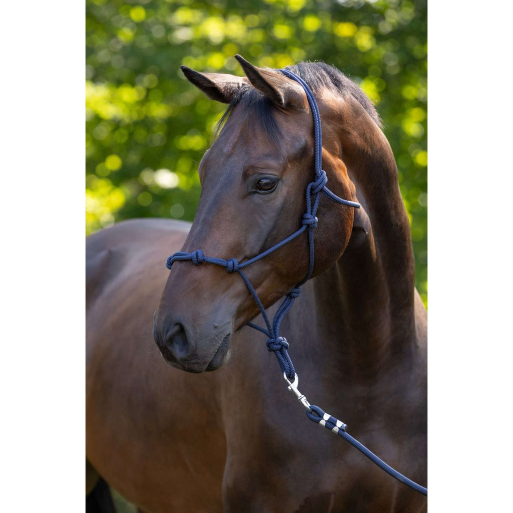 Covalliero Knotenhalfter Blau