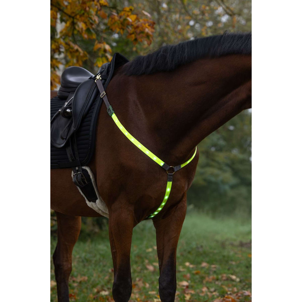 Covalliero Brustgeschirr Led Reflexion
