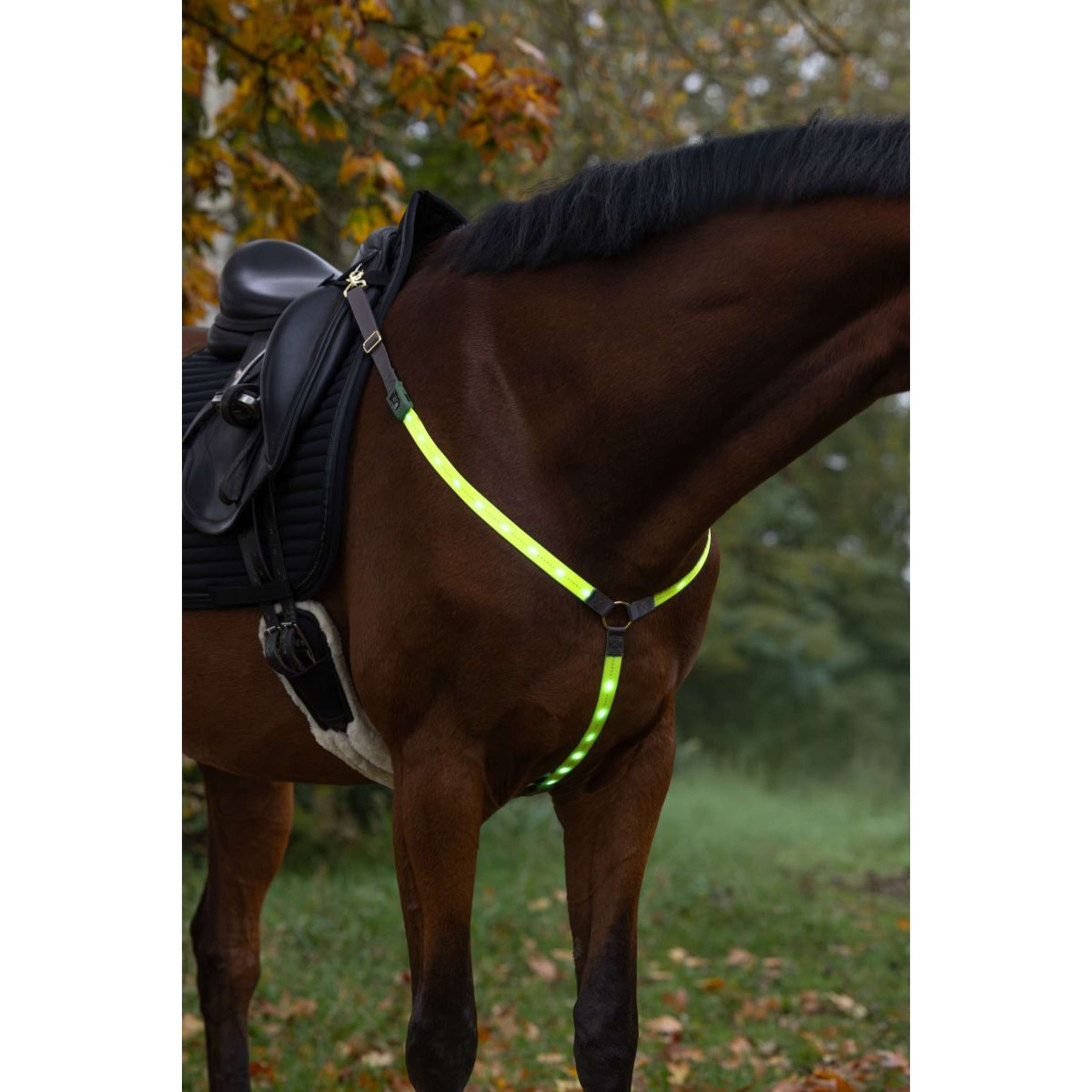 Covalliero Brustgeschirr Led Reflexion