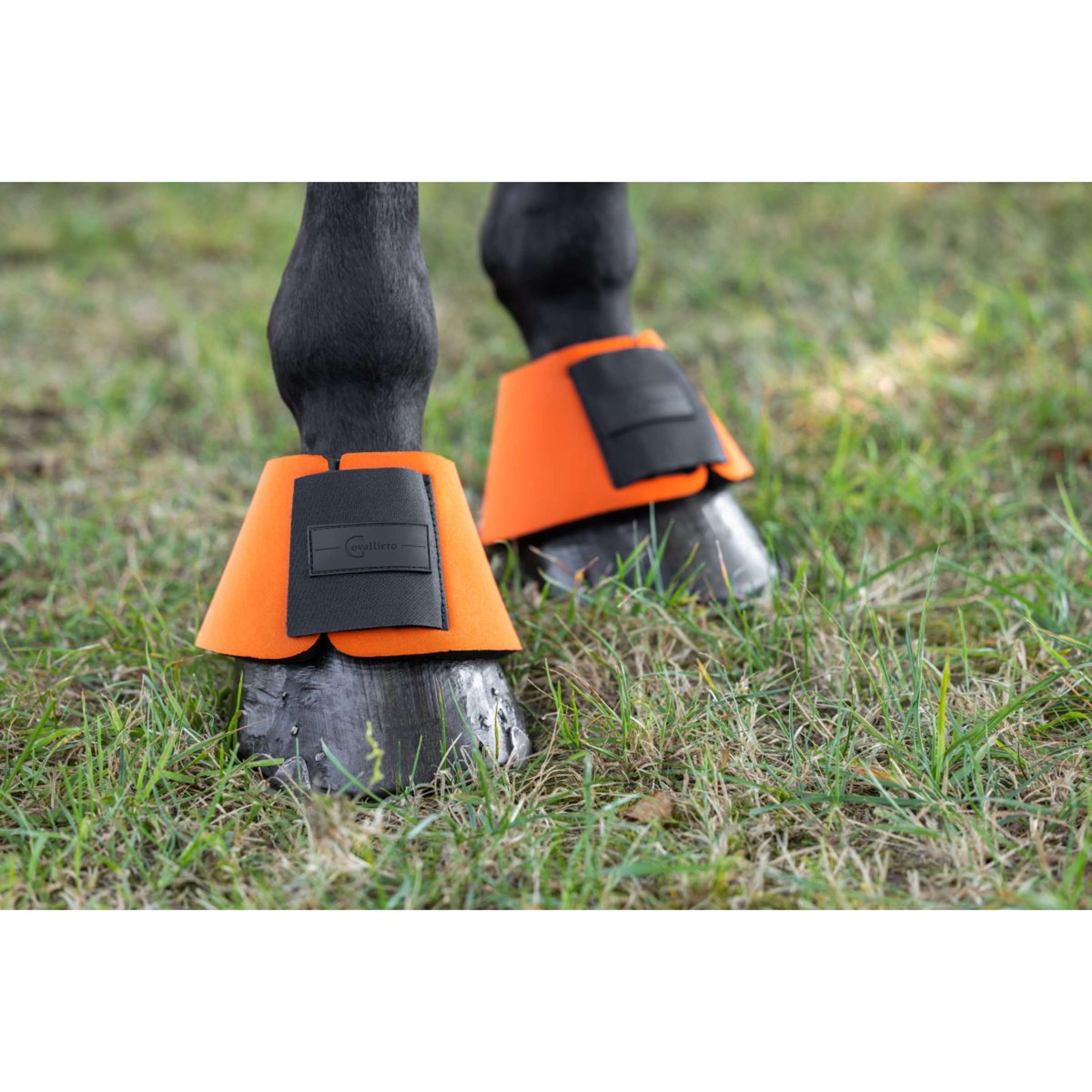 Covalliero Hufglocken NeoLite Orange Covalliero Hufglocken NeoLite Orange