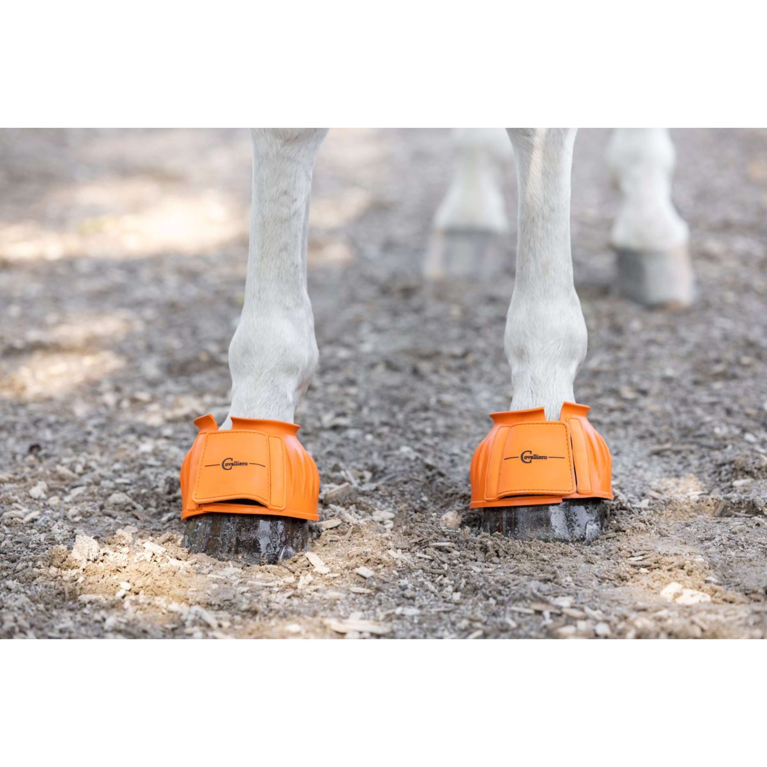 Covalliero Hufglocken Gummi Orange Covalliero Hufglocken Gummi Orange