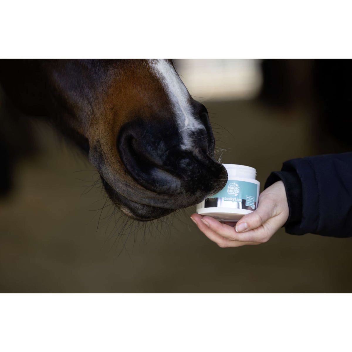 Magic Brush Lippen-Balsam Lucky Lips