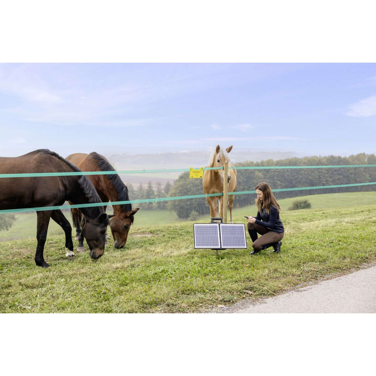 Ako Weidezaungeräte S4000 Smart