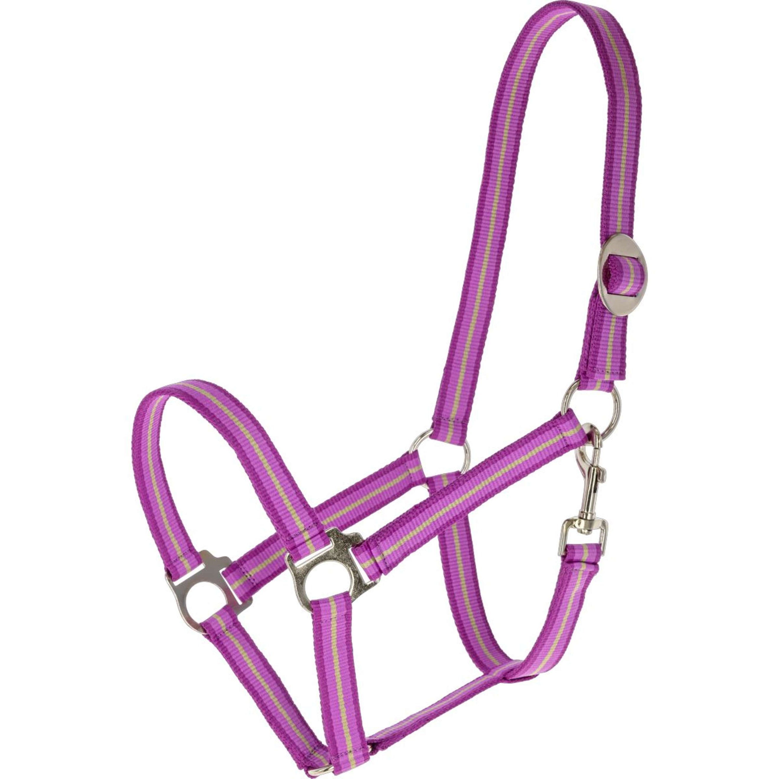Covalliero Halfter SS26 Light Berry/Nuss