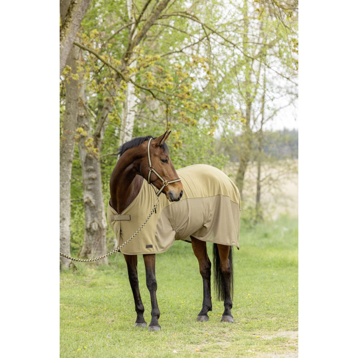 Covalliero Abschwitzdecke SS26 Nuss