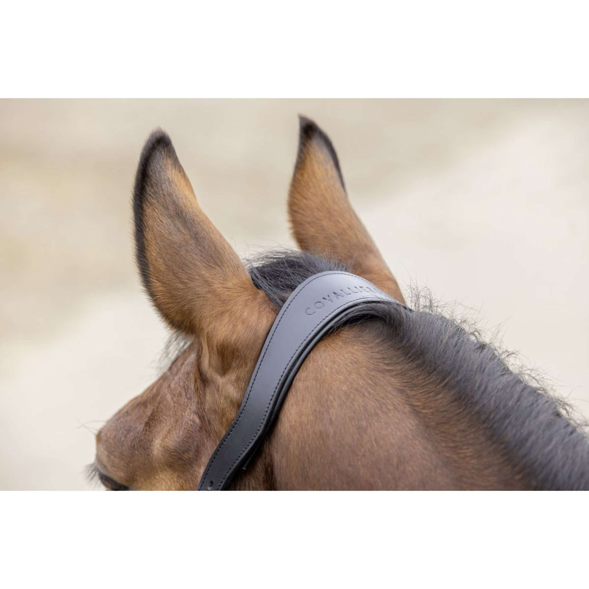 Covalliero Halfter SS26 Dunkle Navy