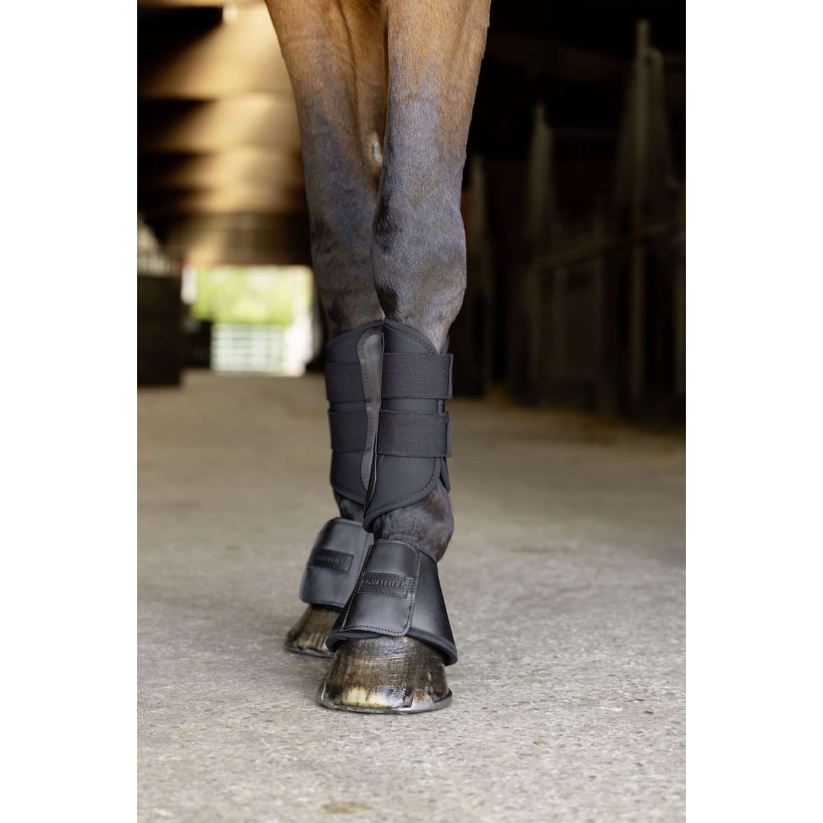 Covalliero Hufglocken SS26 Schwarz