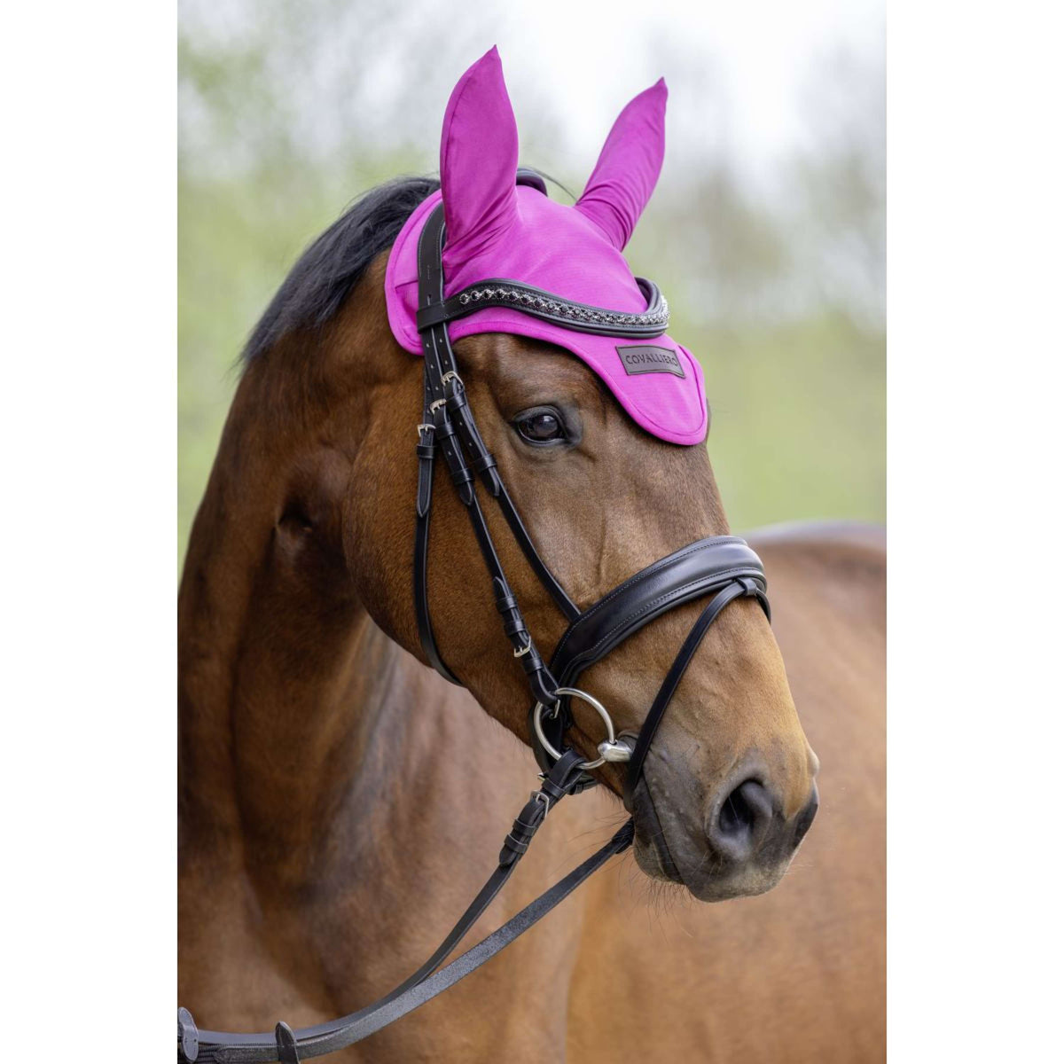 Covalliero Fliegenhaube SS26 Light Berry