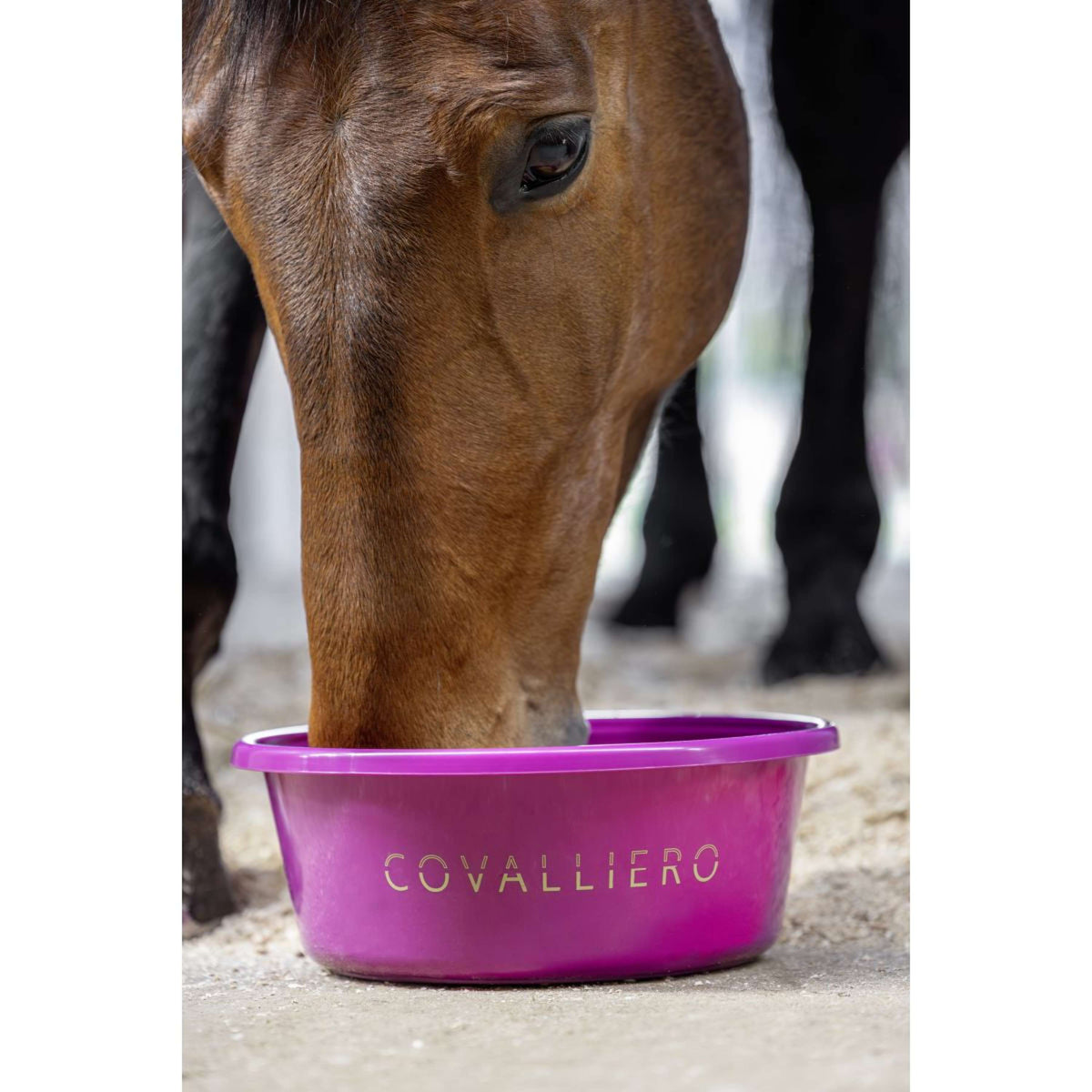 Covalliero Futtertrog SS26 Light Berry