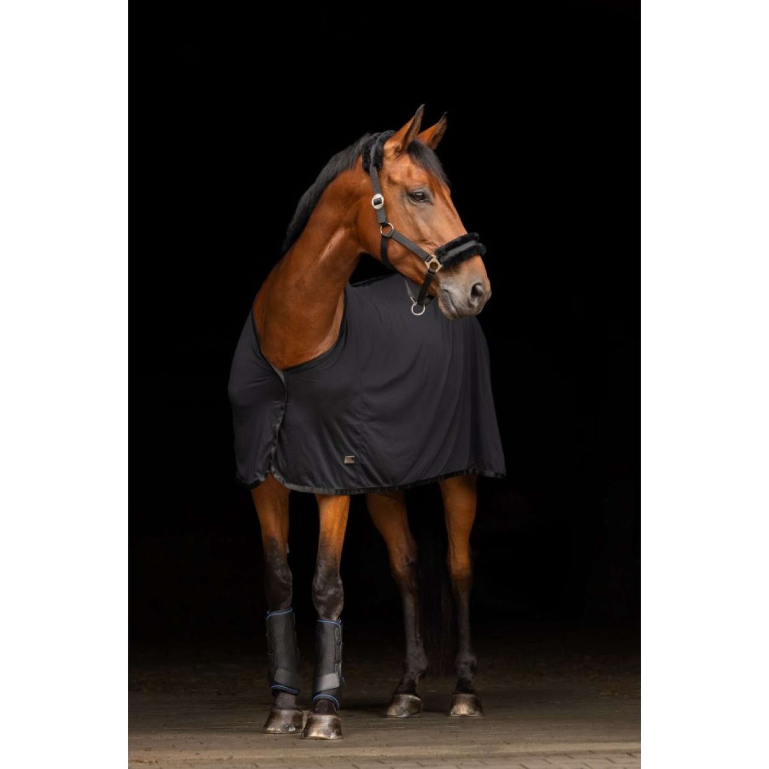 Covalliero Cooler Cooling Schwarz Covalliero Cooler Cooling Schwarz