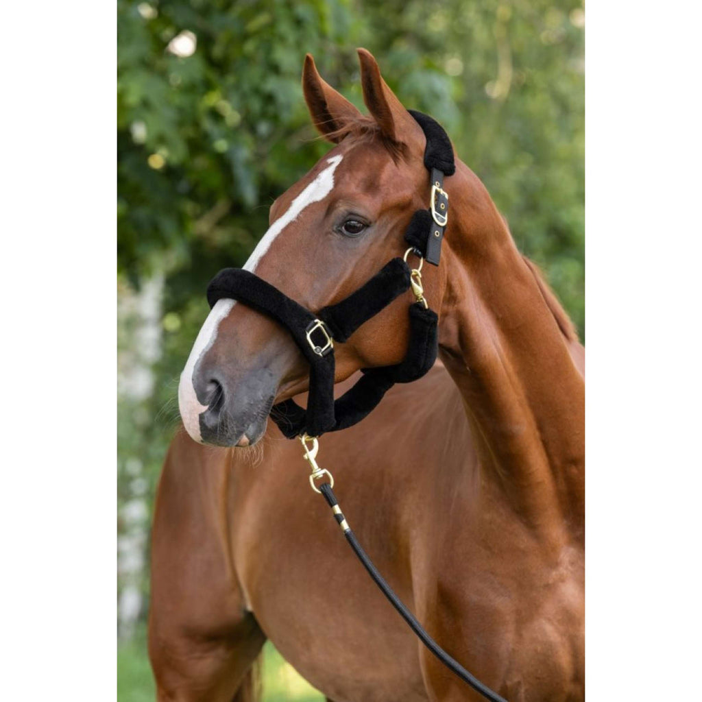 Covalliero Halfter Supersoft 2.0 Schwarz