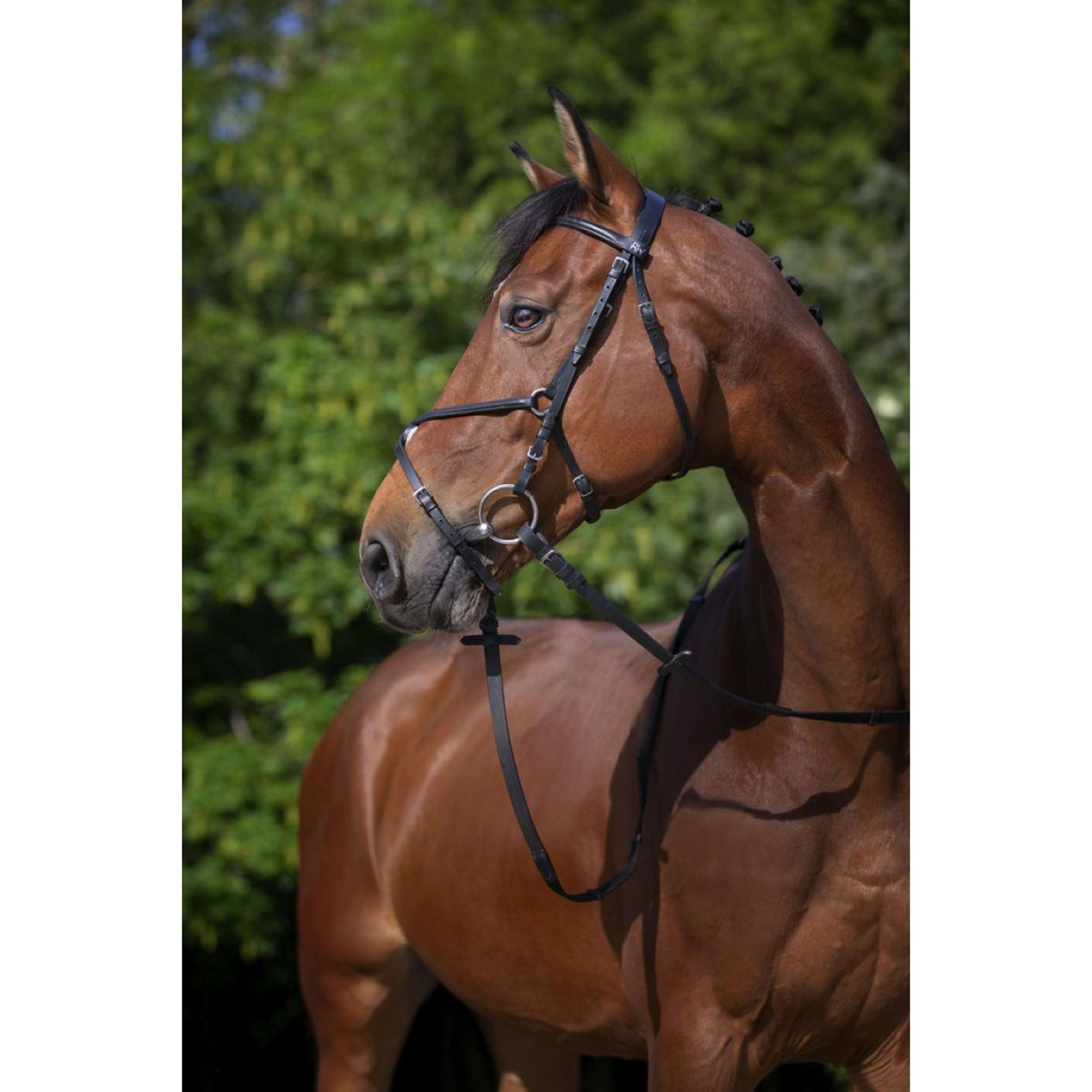 Riding World Trense Mexikanischer Nasenriemen Schwarz Riding World Trense Mexikanischer Nasenriemen Schwarz