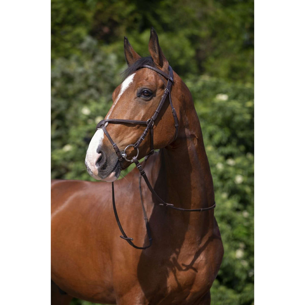 Riding World Trense Mexikanischer Nasenriemen Havanna