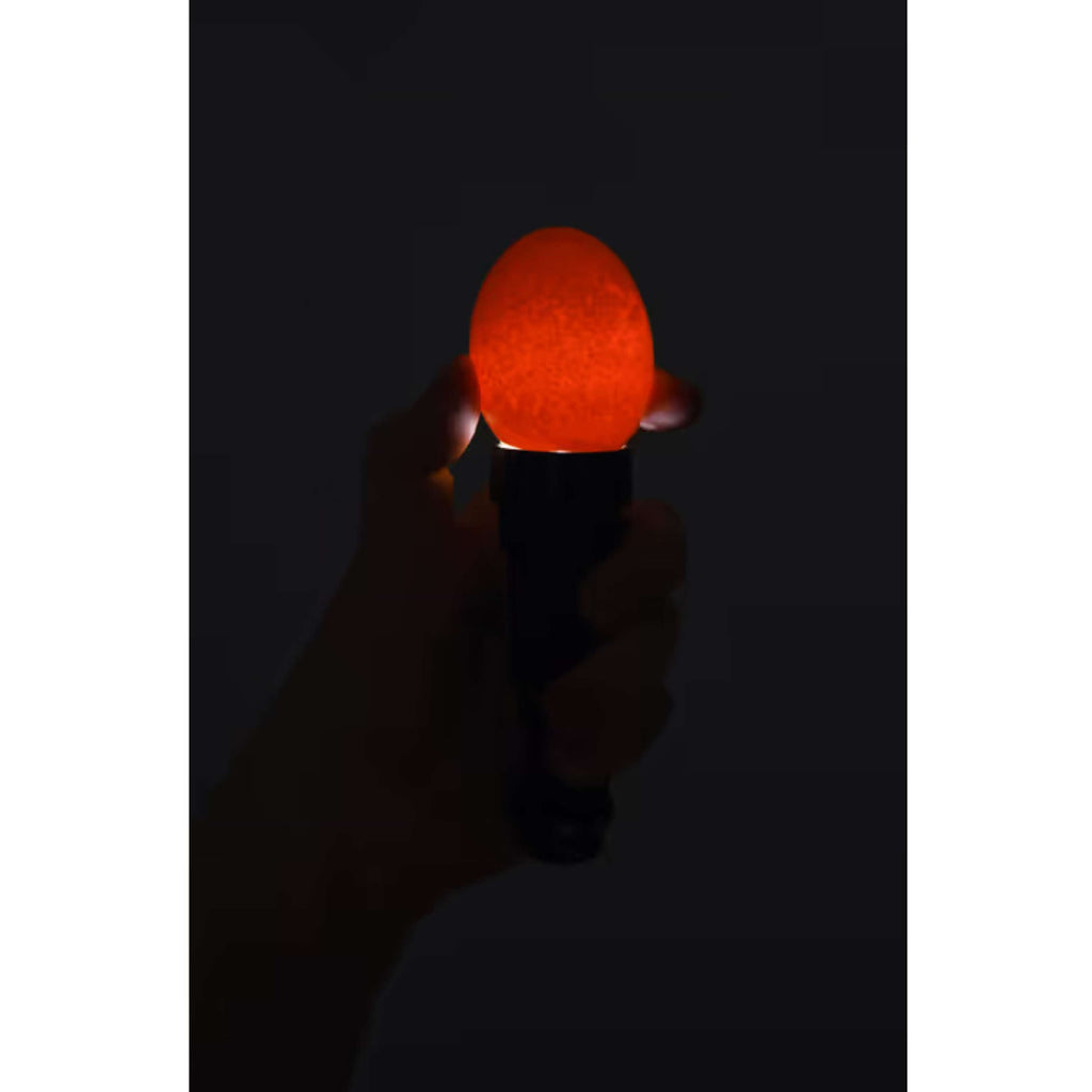 Kerbl LED-Eierschaulampe Schwarz