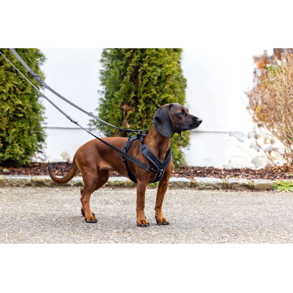 Kerbl Hundegeschirr Dallas Schwarz