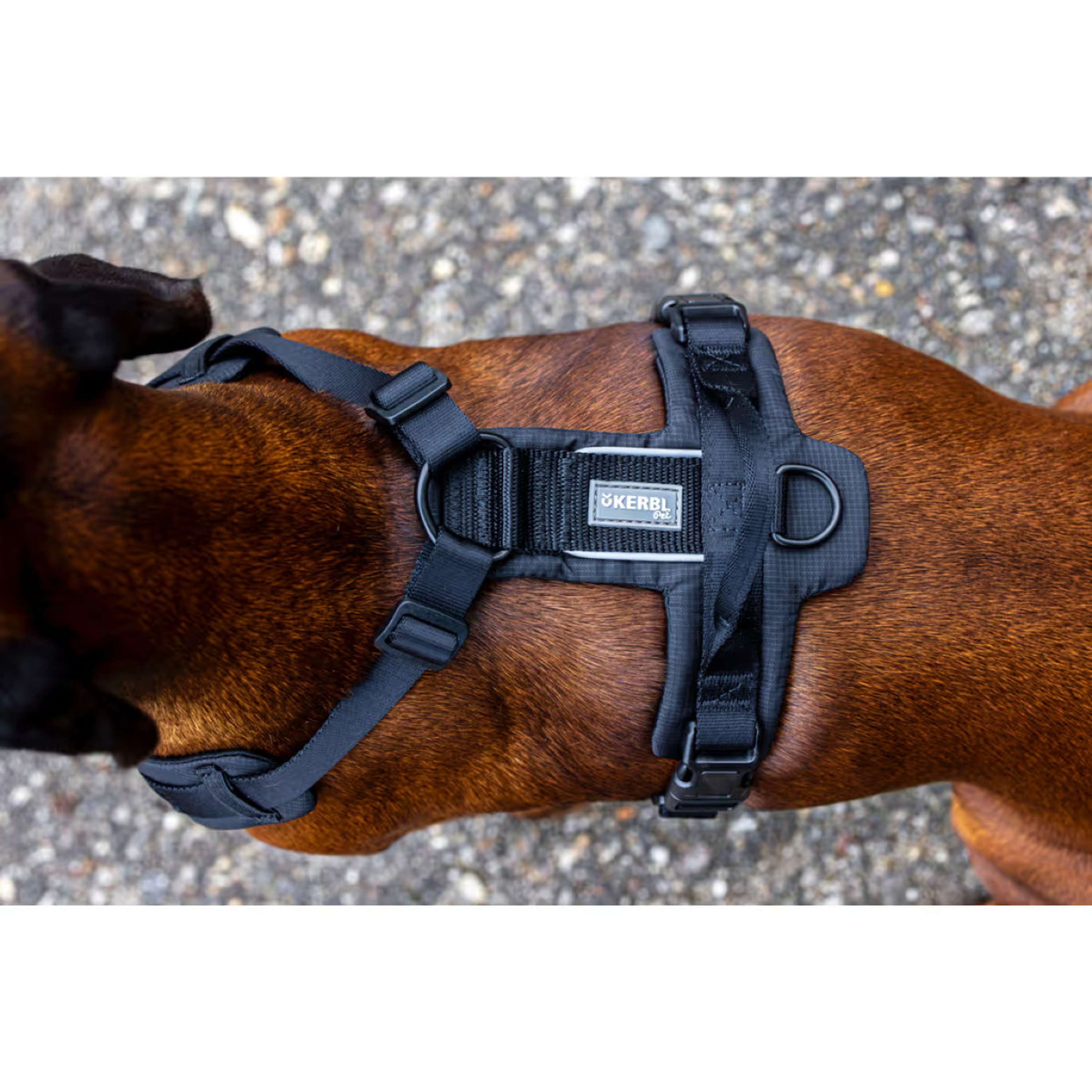 Kerbl Hundegeschirr Dallas Schwarz