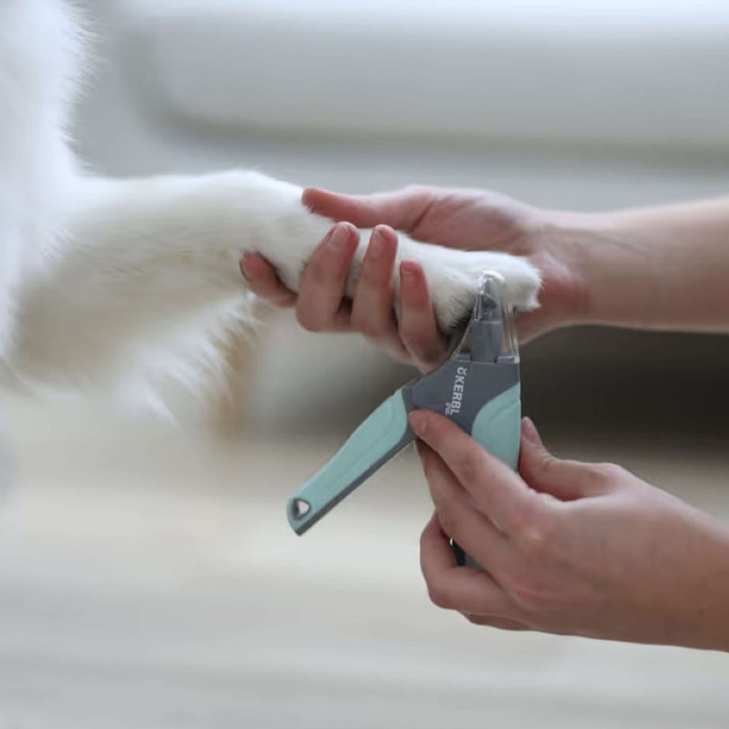 Kerbl Nagelzange Pet Minzgrün